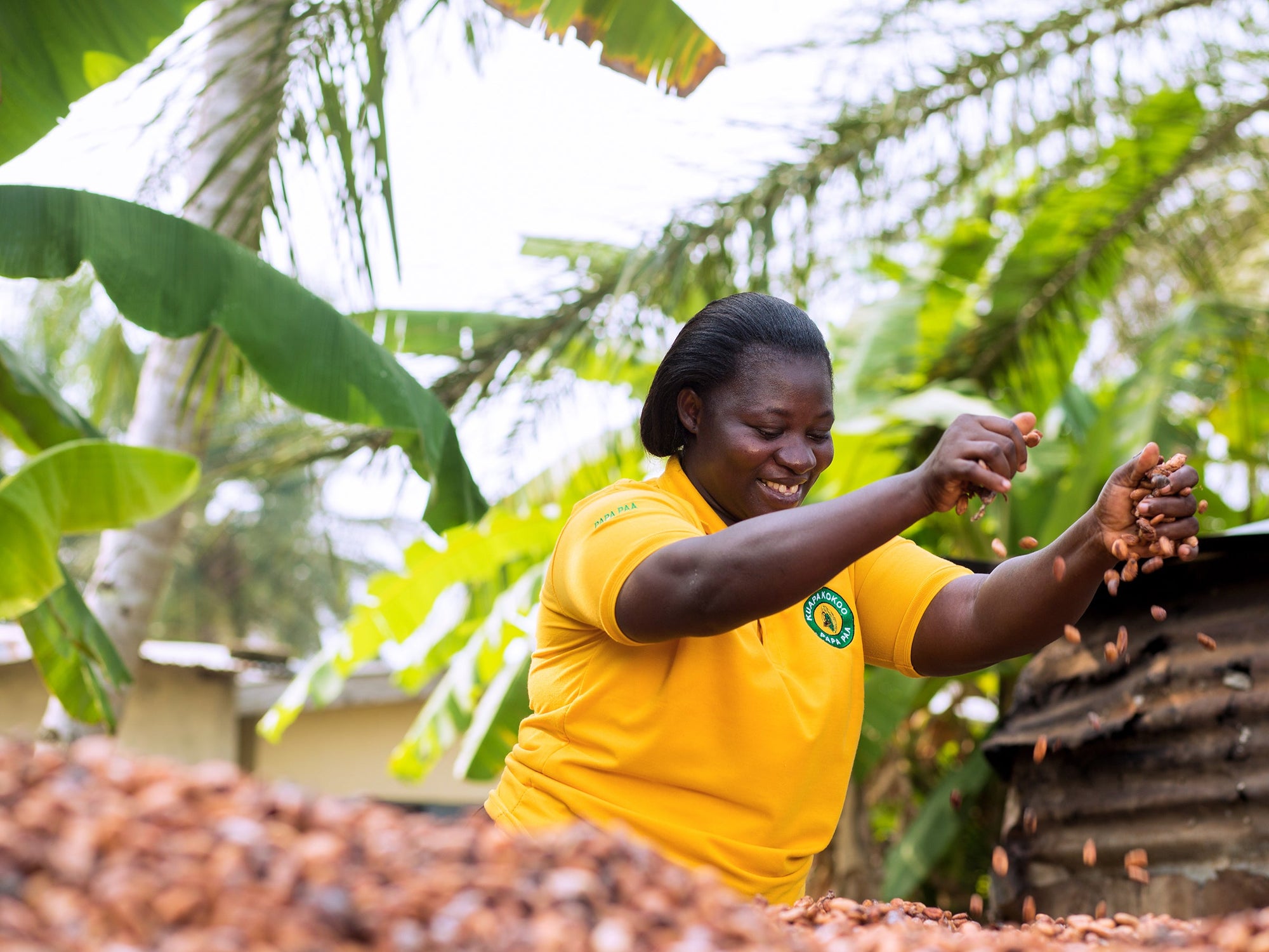 Why Choosing Fairtrade Chocolate Matters: The Divine Difference