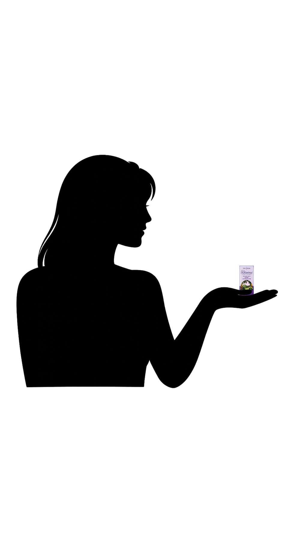 Divine 70% Dark Chocolate 12.5g bars x 160