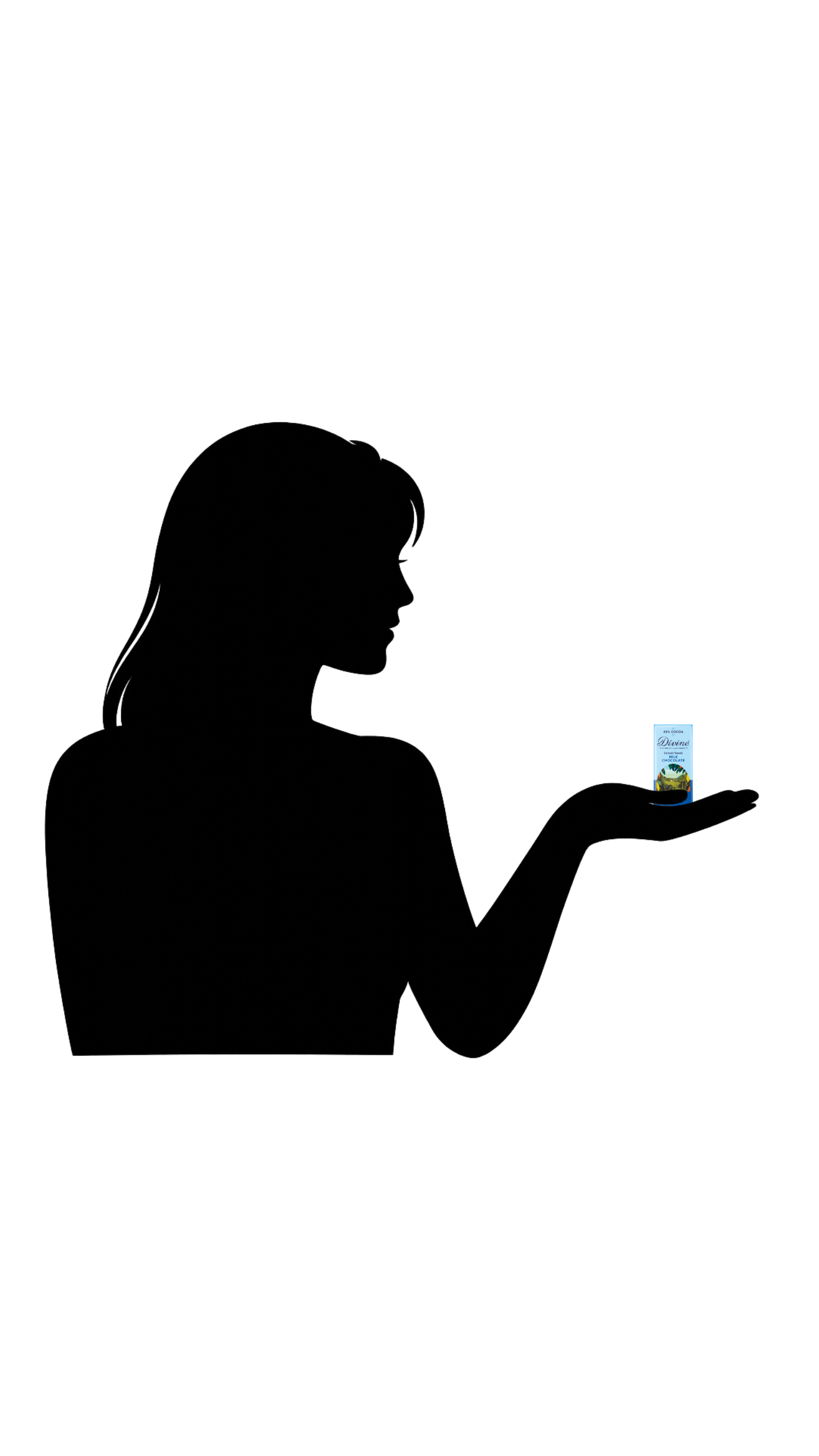 Divine 45% Milk Chocolate 12.5g bars x 160