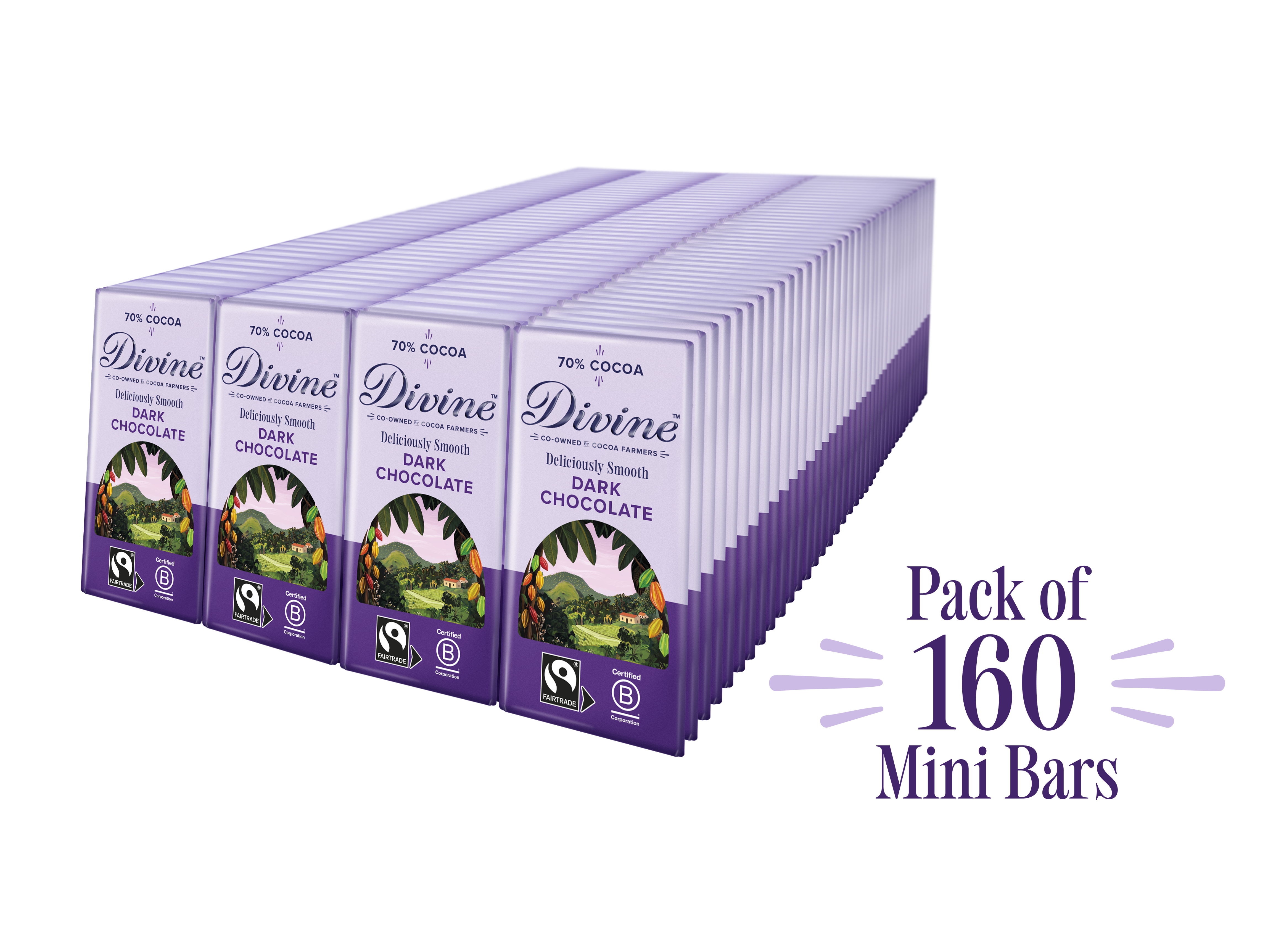 Divine 70% Dark Chocolate 12.5g bars x 160