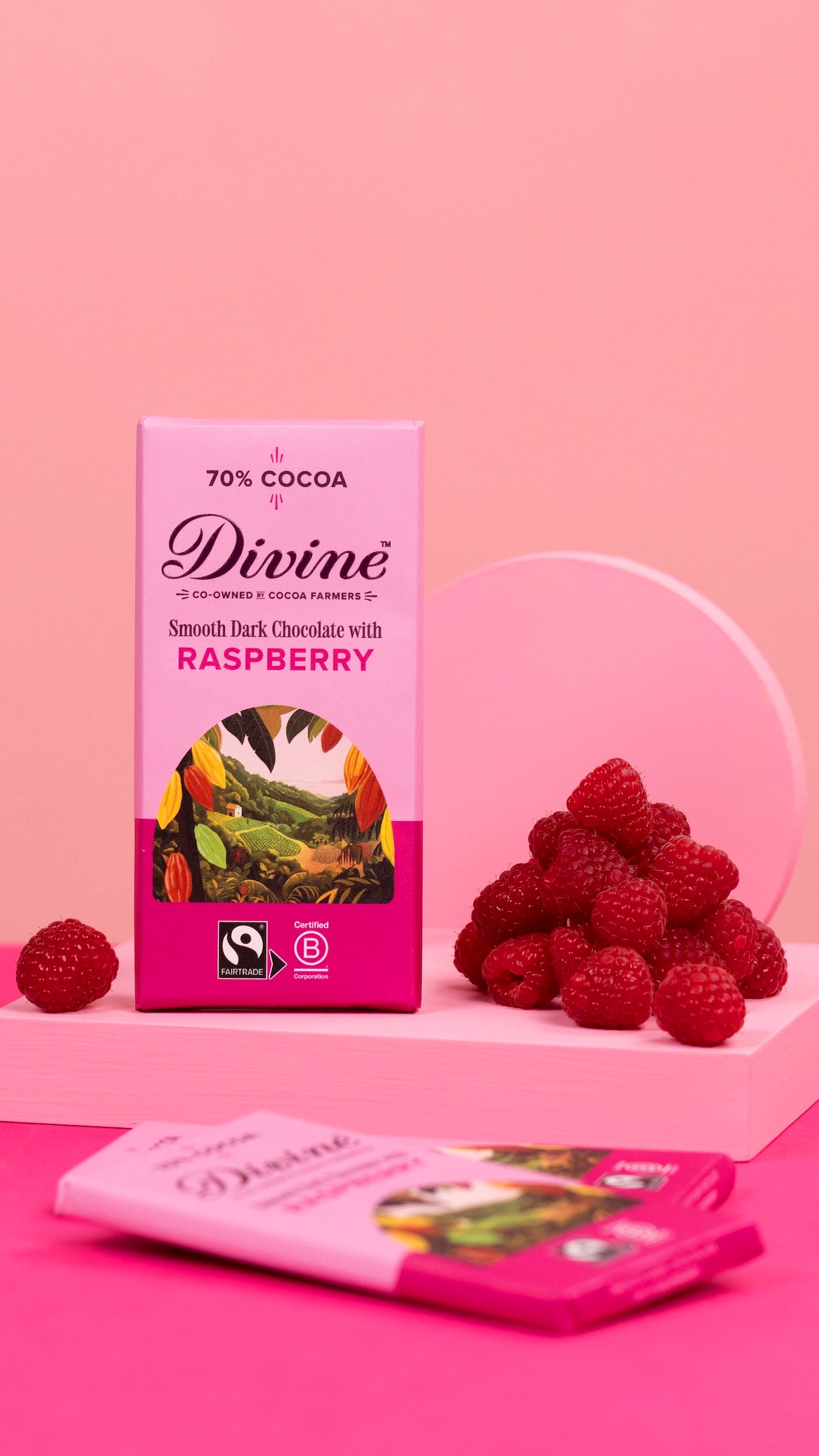 Divine 70% Dark Chocolate Raspberry bar 90g – Divine Chocolate