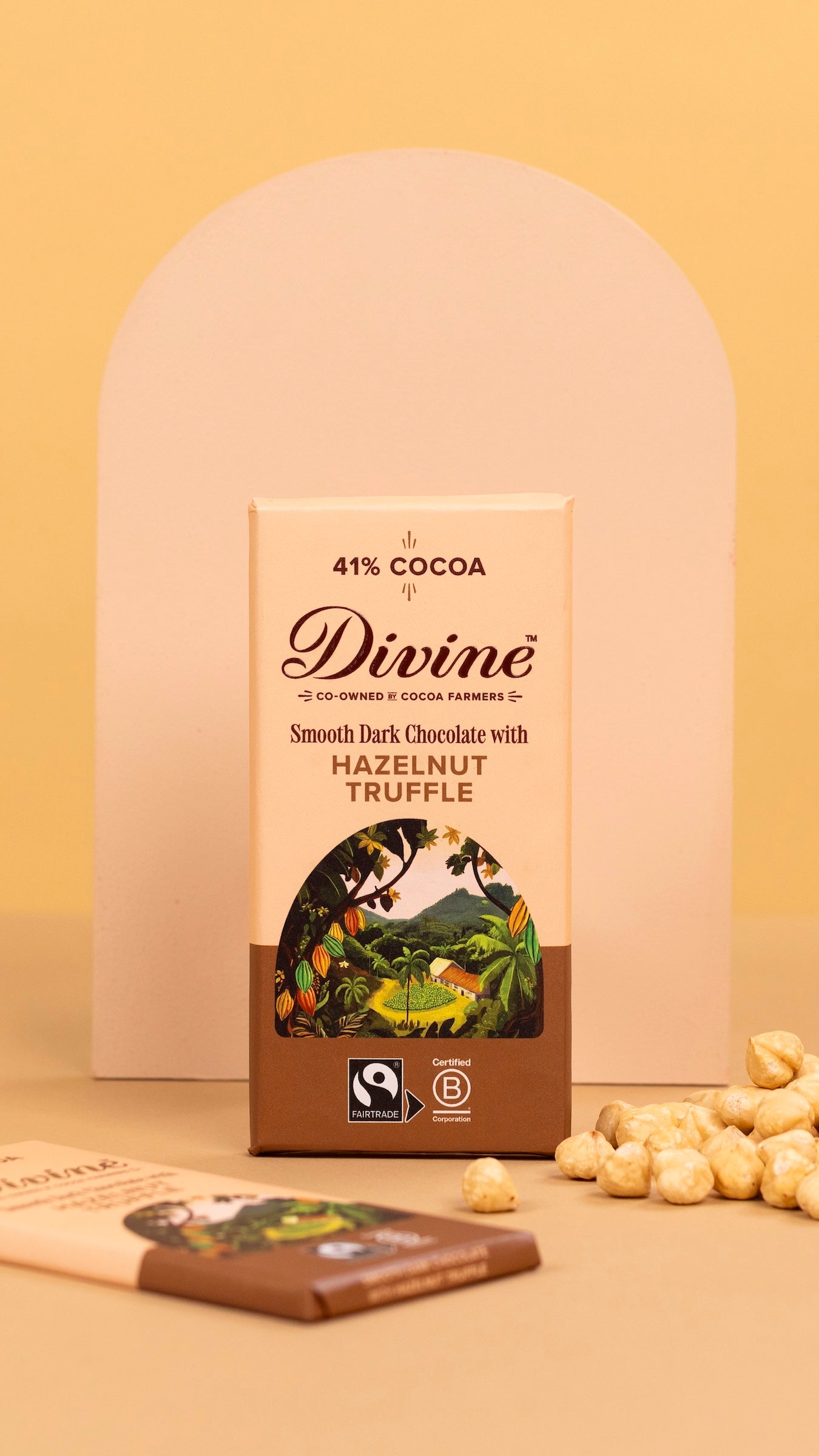 Divine Dark Chocolate with Hazelnut Truffle