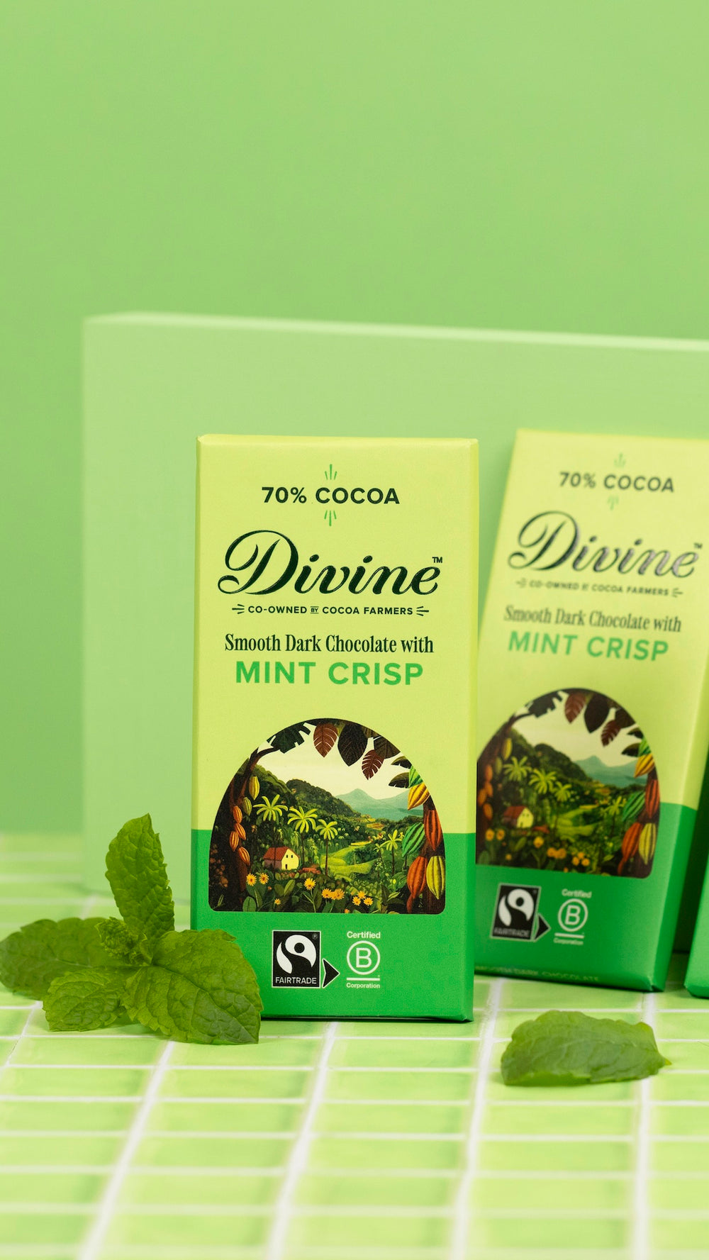 Divine 70% Dark Chocolate with Mint Crisp