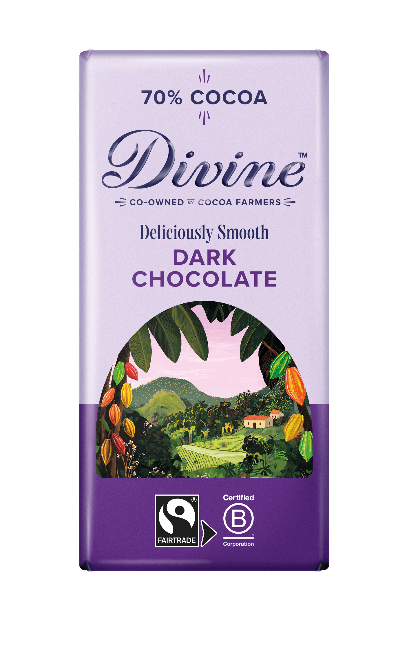 Divine 70% Dark Chocolate bar - 90g