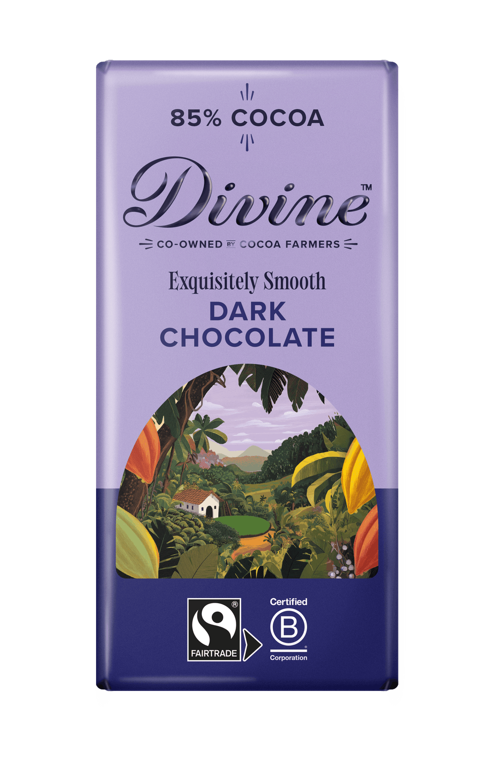 Divine 85% Dark Chocolate