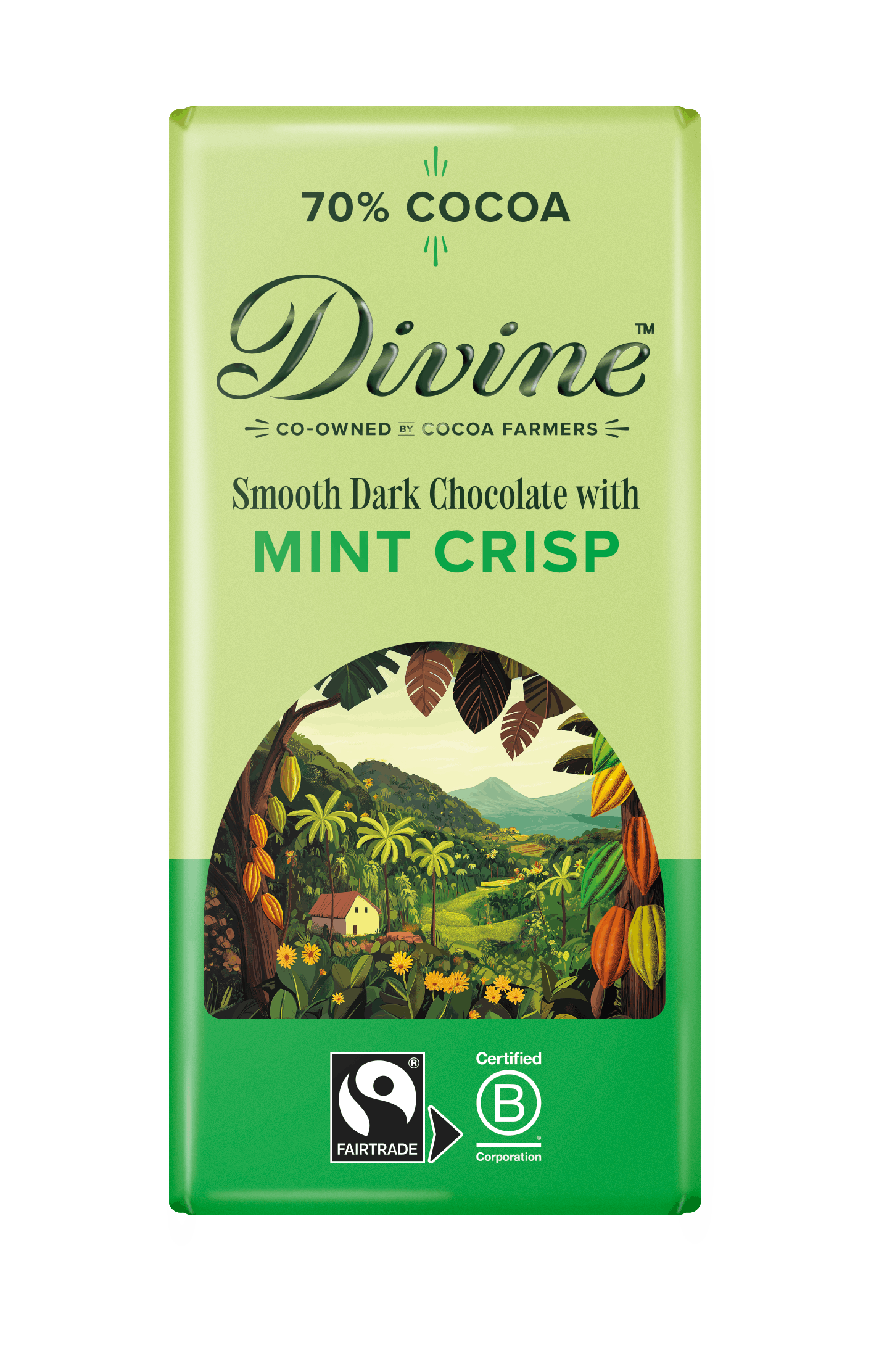 Divine 70% Dark Chocolate with Mint Crisp bar - 90g