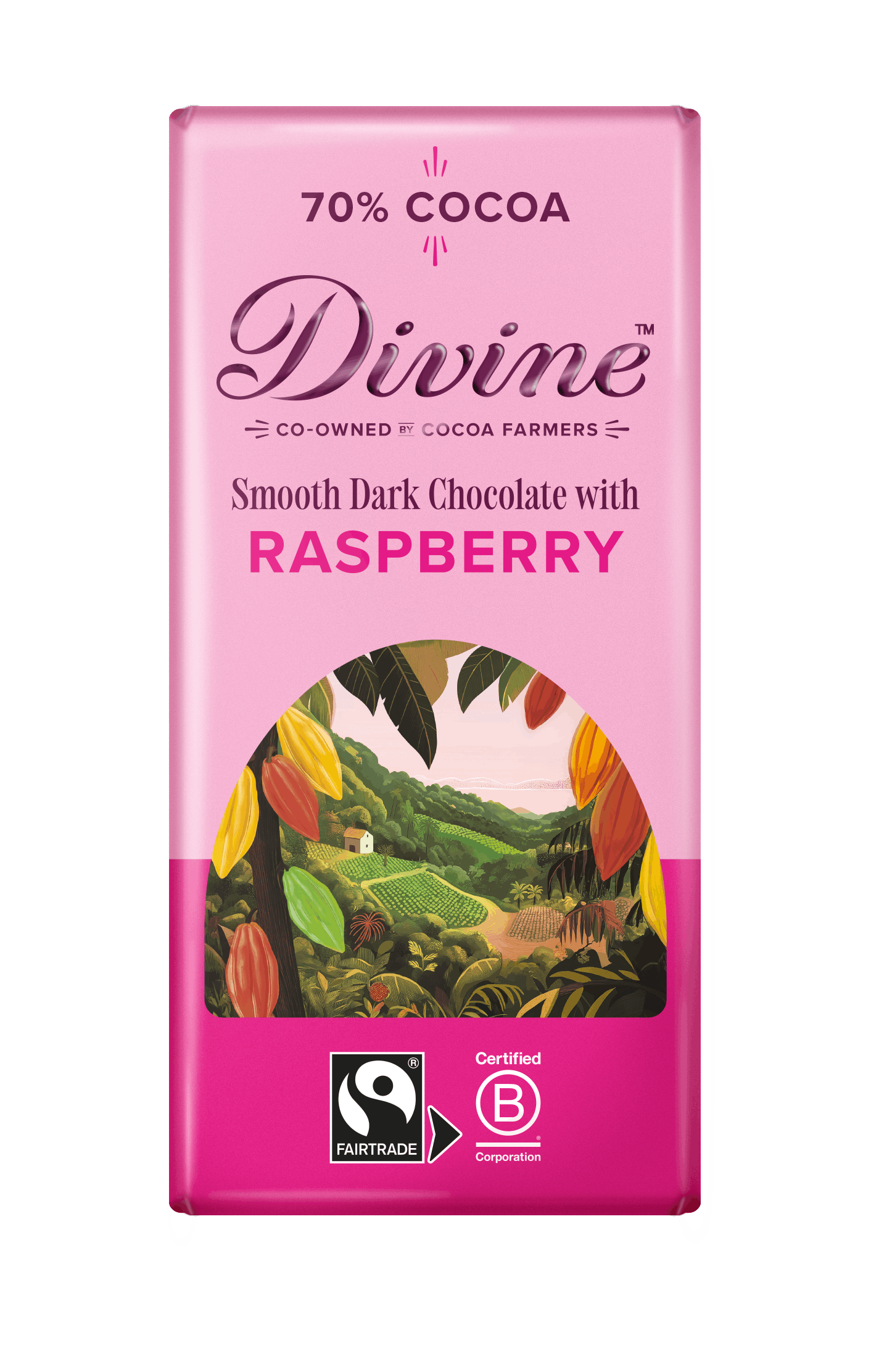 Divine 70% Dark Chocolate Raspberry bar 90g