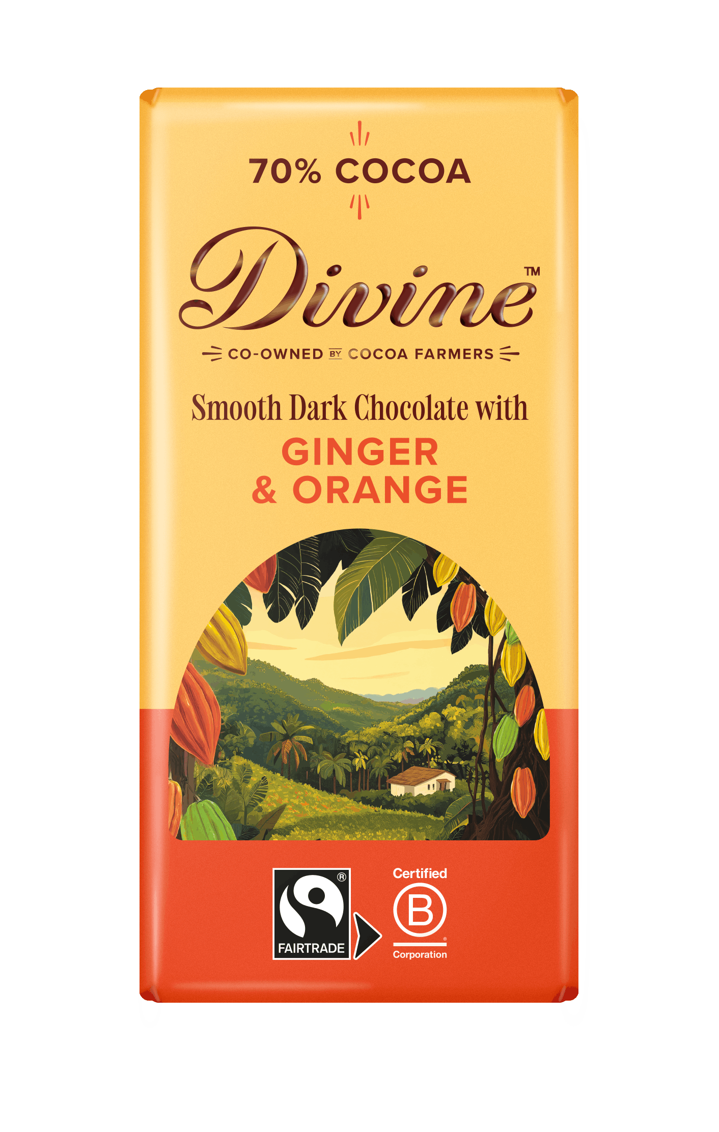 Divine 70% Dark Choc Ginger & Orange bar 90g