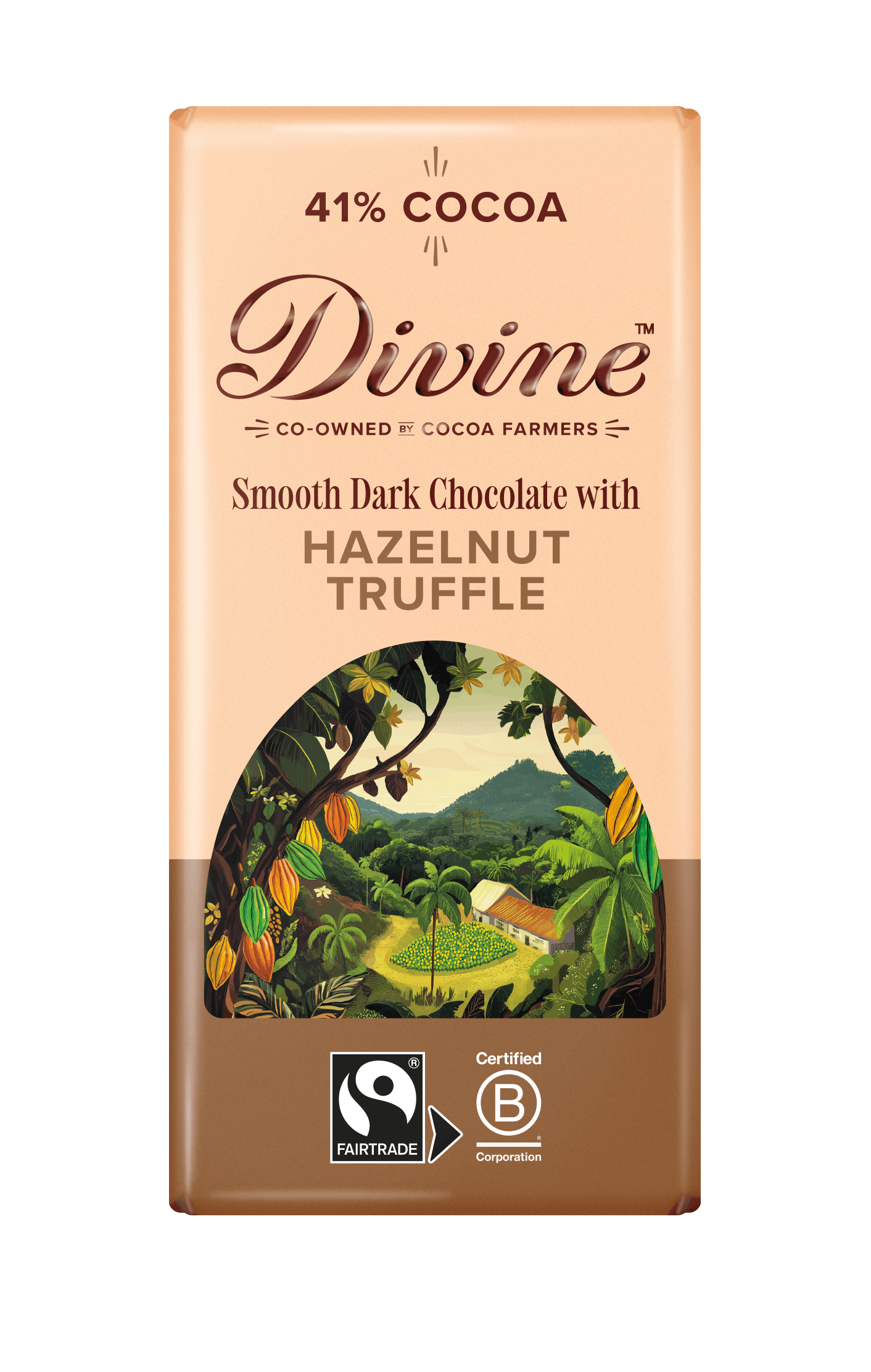 Divine Dark Chocolate with Hazelnut bar 90g