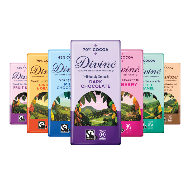 Variety Bundle 7 Pack